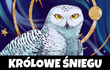 Opcja produktu