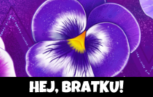 Opcja produktu