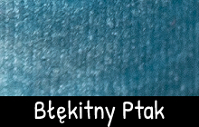 Opcja produktu