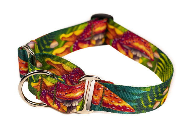 Obroża martingale – Magiczny Las (1)