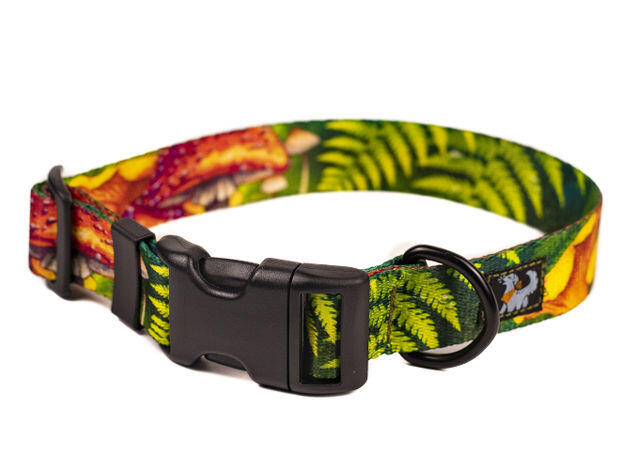 Obroża na klamrę Duraflex® – Magiczny Las