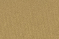 Opcja produktu